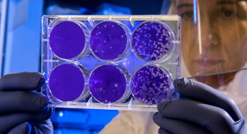 A Specialized Category For Biomaterial Engineering Businesses