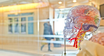 Top Four Tissue Engineering and Regenerative Medicine Business Ideas for New Startups